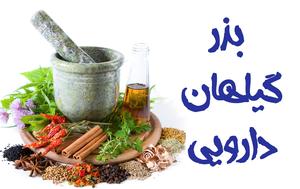 فروش بذر گیاهان دارویی